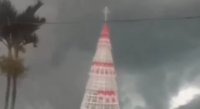 QUEDA DE ÁRVORE DE NATAL EM MARICÁ DEIXA UM MORTO E DOIS FERIDOS