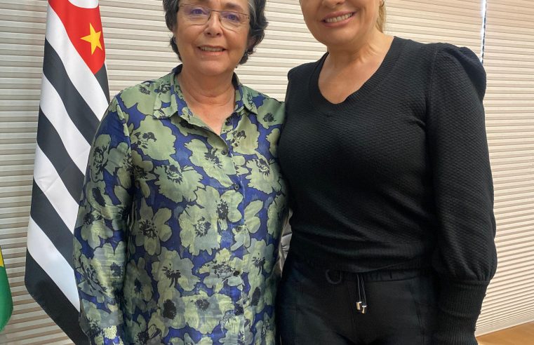 ADVOGADA DESTACA DESIGUALDADE NO ACESSO À INTERNET DURANTE CPI PRESIDIDA POR CARLA MORANDO