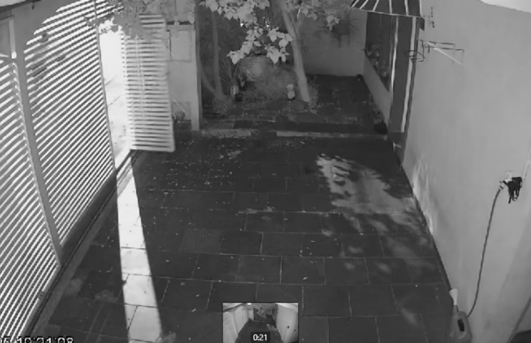 BRINCADEIRA DE MAU GOSTO: JOVENS VANDALIZAM PORTÃO NO CENTRO DE SÃO BERNARDO