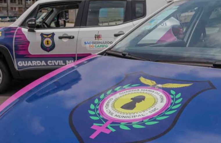 GCM DE SÃO BERNARDO PRENDE HOMEM POR VIOLÊNCIA DOMÉSTICA