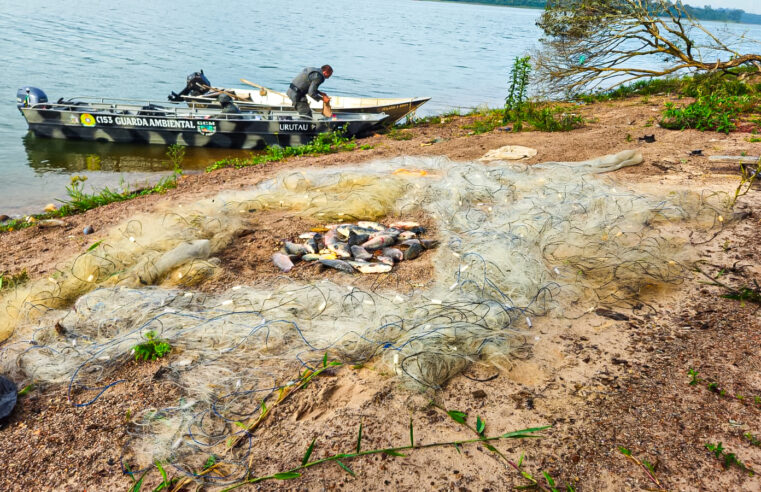 GUARDA AMBIENTAL DE SÃO BERNARDO APREENDE REDES DE PESCA ILEGAIS NA BILLINGS