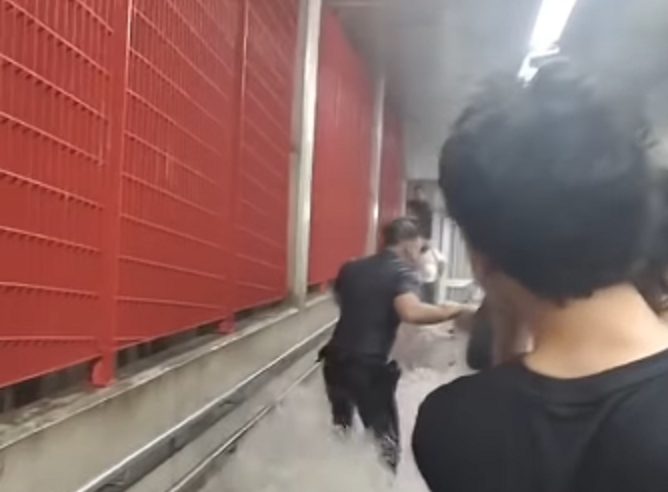 HERÓI: SEGURANÇA DO METRÔ AJUDA PASSAGEIROS DURANTE ENCHENTE NA ESTAÇÃO JARDIM SÃO PAULO: “FOI PRIMORDIAL EM DIRECIONAR E AJUDAR”