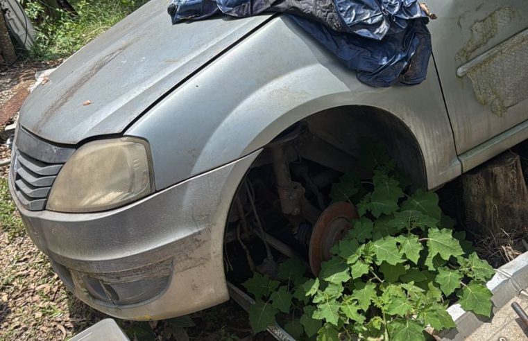 DESMANCHE ILEGAL É DESCOBERTO NO RIACHO GRANDE; HOMEM É PRESO