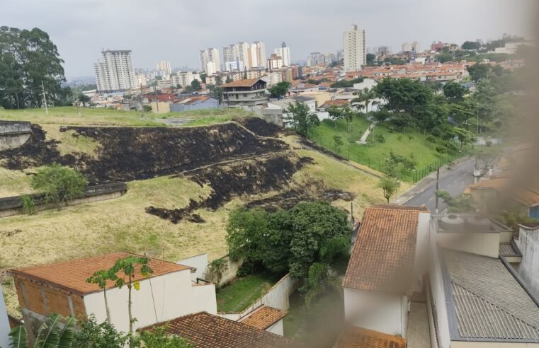 APÓS INCÊNDIO, ANIMAIS MIGRAM PARA ÁRVORES NO JARDIM PALERMO