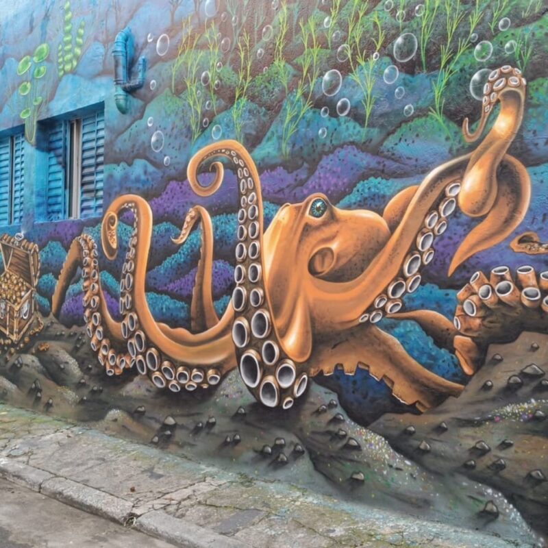 MORADOR TRANSFORMA FACHADA DE CASA COM MURAL DO FUNDO DO MAR NO JARDIM CLÁUDIA