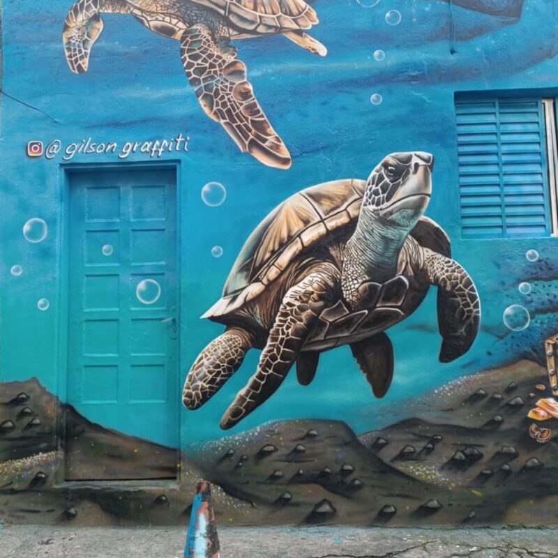 MORADOR TRANSFORMA FACHADA DE CASA COM MURAL DO FUNDO DO MAR NO JARDIM CLÁUDIA