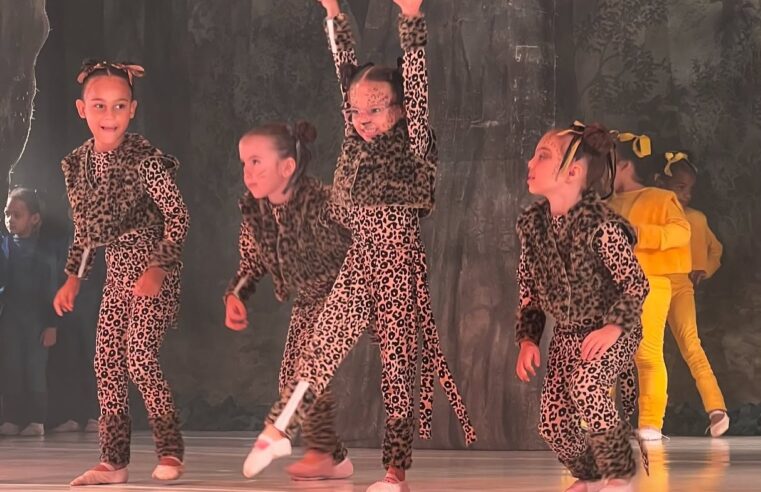 DIADEMA ABRE INSCRIÇÕES PARA ARTE EDUCADORES