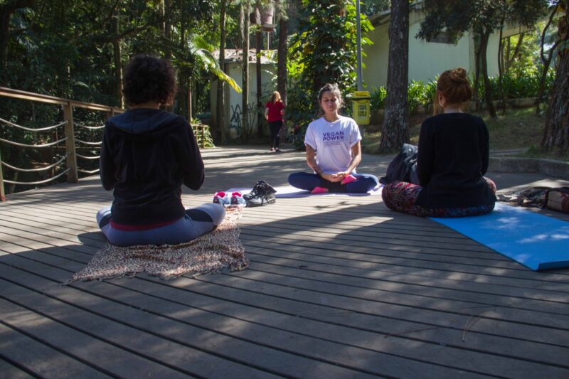 SANTO ANDRÉ PROMOVE AULAS GRATUITAS DE IOGA, TAI CHI CHUAN, LIAN GONG E DANÇA DE SALÃO