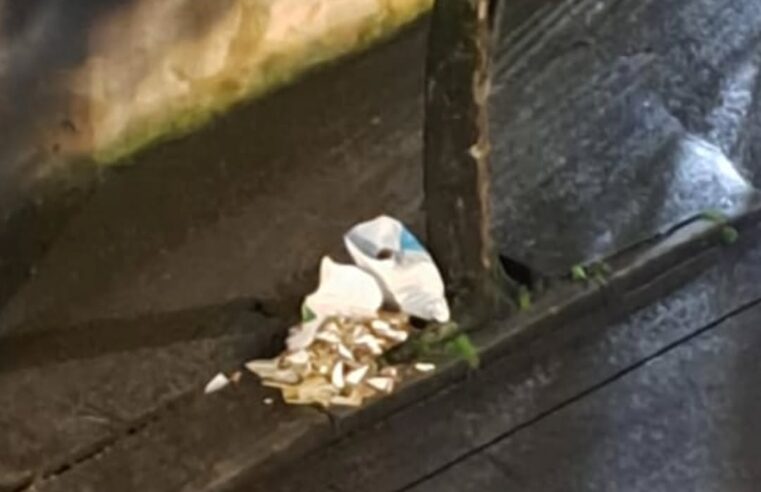 MORADORES DO JARDIM IRAJÁ PEDEM CONSCIENTIZAÇÃO SOBRE DESCARTE DE LIXO