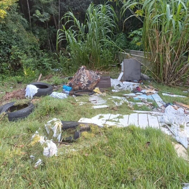 &#8220;SUJÕES&#8221; IGNORAM BOTA-FORA E JOGAM ENTULHO NO PARQUE IMIGRANTES