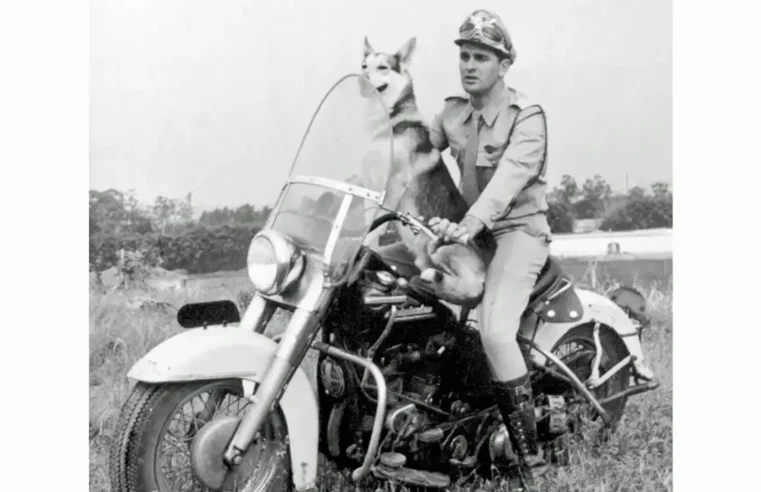 MORRE EM SÃO PAULO CARLOS MIRANDA, O VIGILANTE RODOVIÁRIO