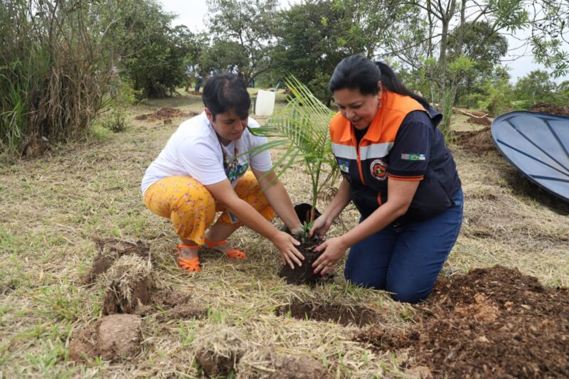 SANTO ANDRÉ REALIZA PLANTIO PARA COMPENSAR EMISSÃO DE CARBONO GERADA EM EVENTO