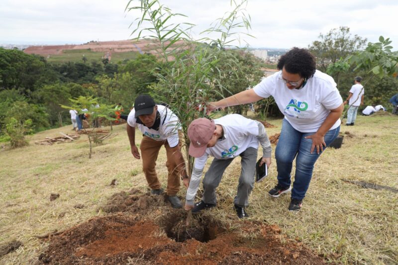 SANTO ANDRÉ REALIZA PLANTIO PARA COMPENSAR EMISSÃO DE CARBONO GERADA EM EVENTO