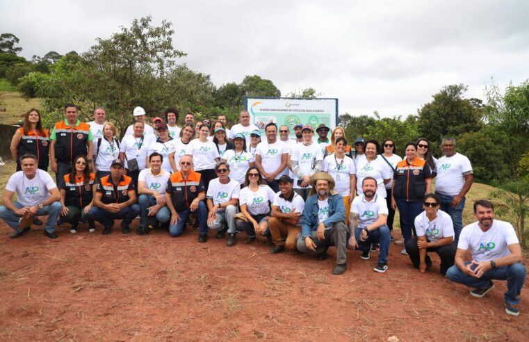 SANTO ANDRÉ REALIZA PLANTIO PARA COMPENSAR EMISSÃO DE CARBONO GERADA EM EVENTO