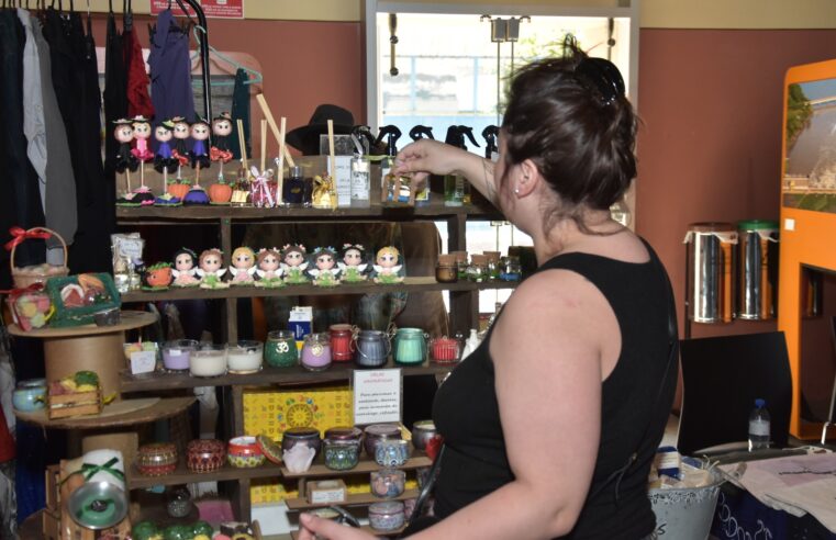 SANTO ANDRÉ E SEBRAE PROMOVEM EVENTO PARA MULHERES EMPREENDEDORAS