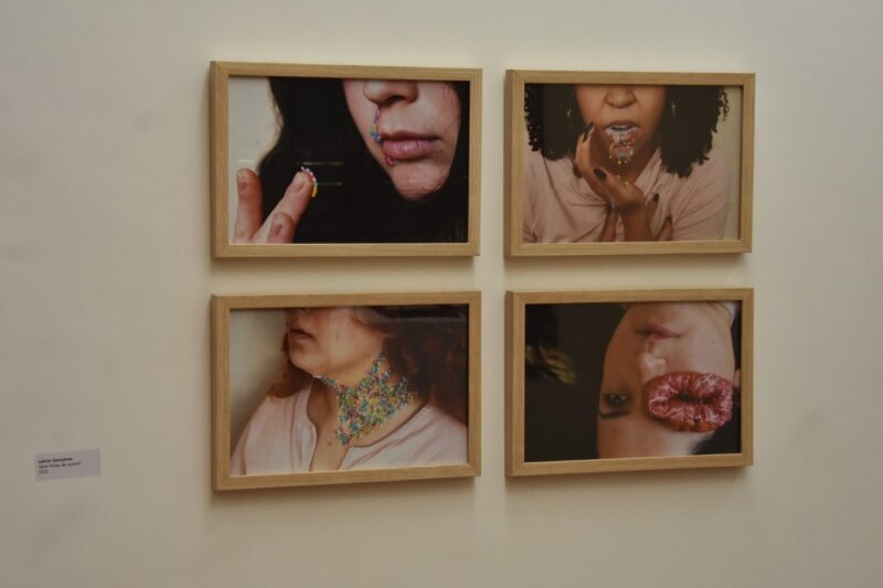 EXPOSIÇÃO NA CASA DO OLHAR COM NOVE ARTISTAS DA REGIÃO TERMINA NESTE SÁBADO