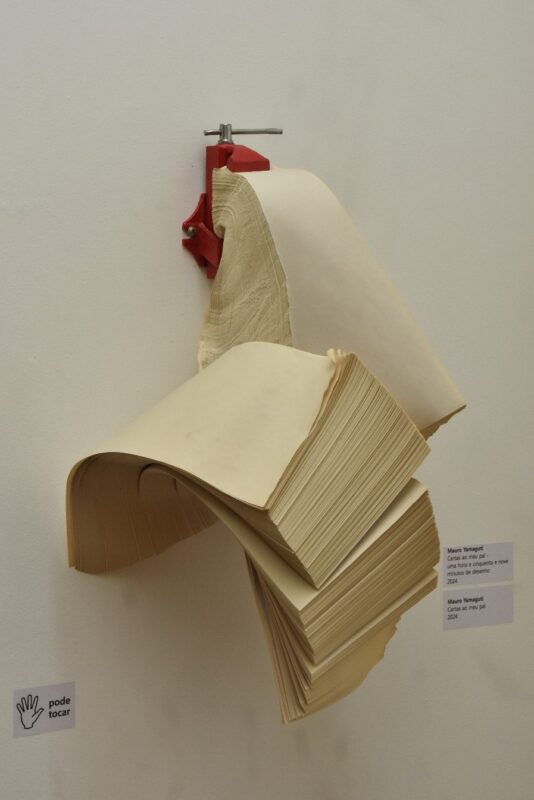 EXPOSIÇÃO NA CASA DO OLHAR COM NOVE ARTISTAS DA REGIÃO TERMINA NESTE SÁBADO