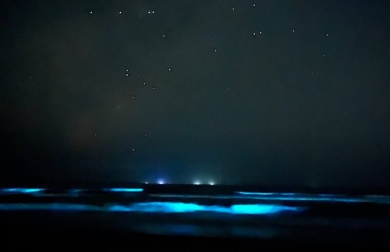 FENÔMENO DEIXA ONDAS DE UBATUBA FLUORESCENTES