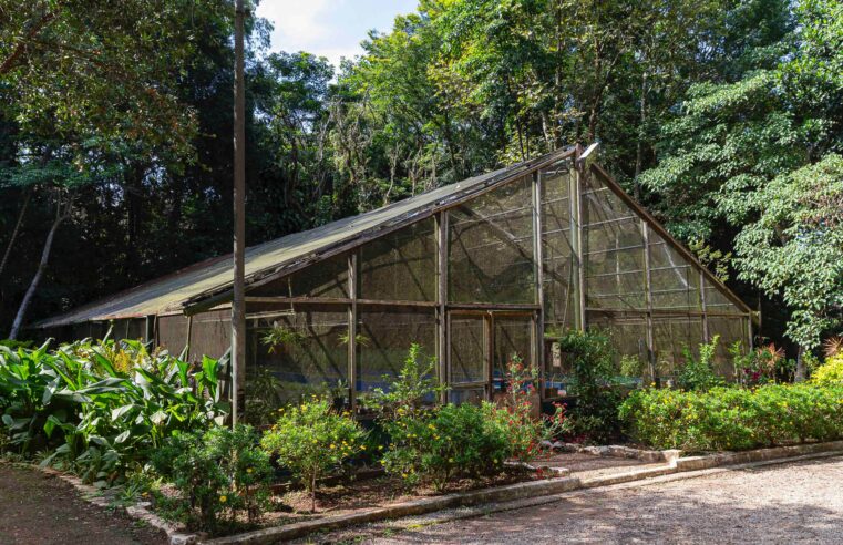 BORBOLETÁRIO DE DIADEMA ESTÁ FECHADO PARA OBRA DE REVITALIZAÇÃO