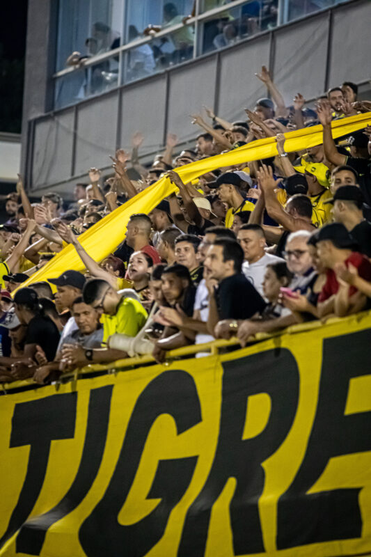 PALMEIRAS VENCE SÃO BERNARDO E AVANÇA À SEMIFINAL DO PAULISTÃO