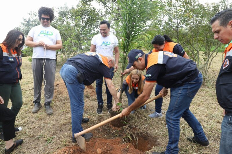 SANTO ANDRÉ REALIZA PLANTIO PARA COMPENSAR EMISSÃO DE CARBONO GERADA EM EVENTO