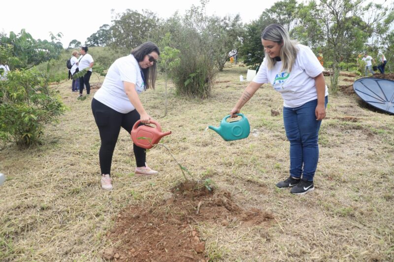 SANTO ANDRÉ REALIZA PLANTIO PARA COMPENSAR EMISSÃO DE CARBONO GERADA EM EVENTO