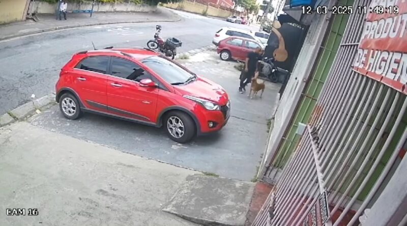 CACHORRO ABANDONADO EM SÃO BERNARDO MORDE SETE PESSOAS NO IRAJÁ