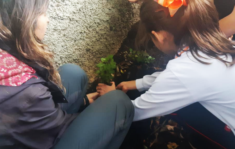 SESC SÃO CAETANO PROMOVE ATIVIDADES QUE ESTIMULAM O CONTATO COM A NATUREZA E A PRESERVAÇÃO AMBIENTAL