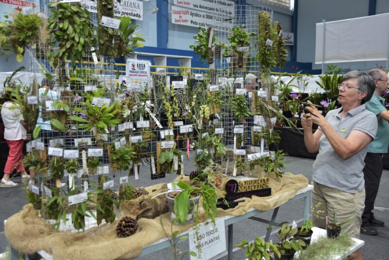 SANTO ANDRÉ RECEBE 49º FESTIVAL DE FLORES NESTE FIM DE SEMANA