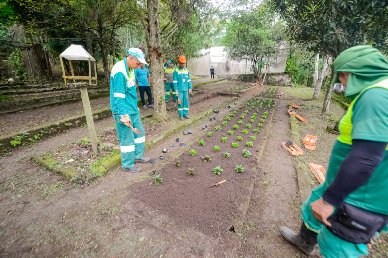 VIVEIRO ESCOLA MUNICIPAL SERÁ REATIVADO EM SÃO BERNARDO E GANHARÁ CENTRO DE FORMAÇÃO PROFISSIONAL