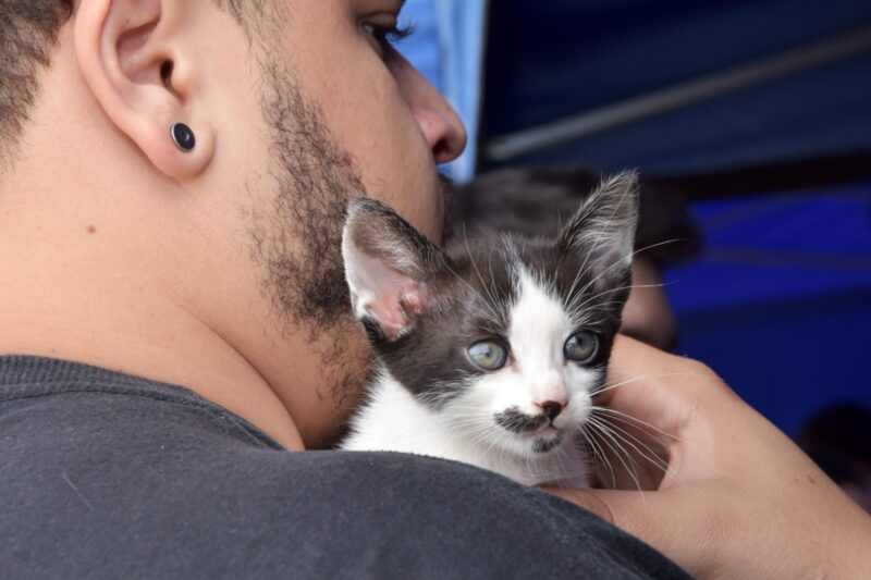 FEIRA DE ADOÇÃO “EU AMO, EU ADOTO” DISPONIBILIZA 141 ANIMAIS ENTRE CÃES E GATOS