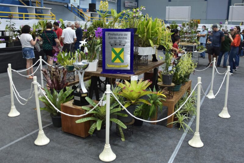 SANTO ANDRÉ RECEBE 49º FESTIVAL DE FLORES NESTE FIM DE SEMANA
