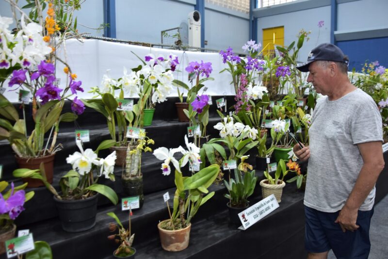 SANTO ANDRÉ RECEBE 49º FESTIVAL DE FLORES NESTE FIM DE SEMANA