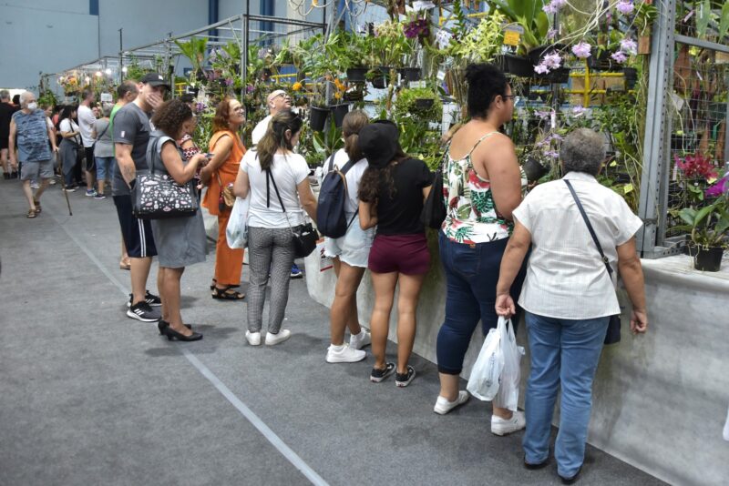 SANTO ANDRÉ RECEBE 49º FESTIVAL DE FLORES NESTE FIM DE SEMANA