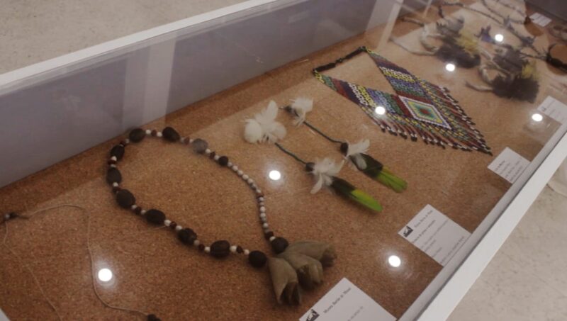 MAUÁ INAUGURA PRIMEIRO CENTRO DE SABERES INDÍGENAS DO ABC COM PROGRAMAÇÃO INÉDITA