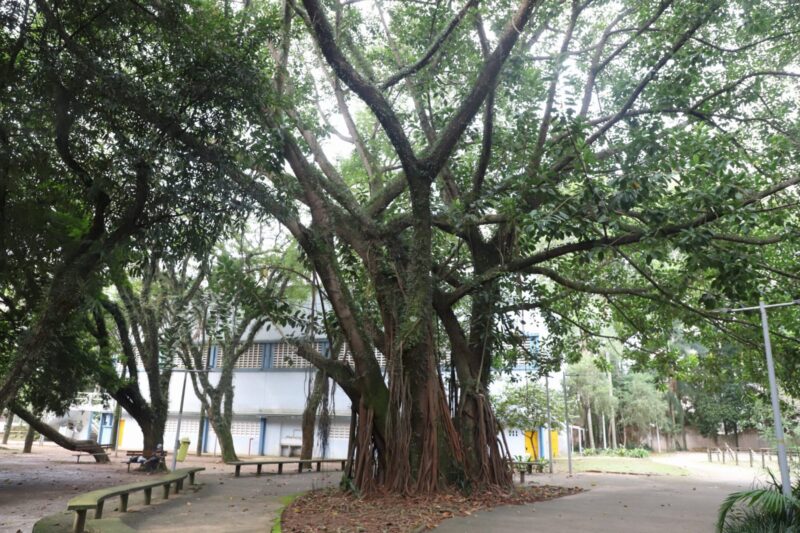 CONFIRA O QUE ABRE E DATA EM SANTO ANDRÉ NOS FERIADOS DE SEXTA-FEIRA SANTA E TIRADENTES