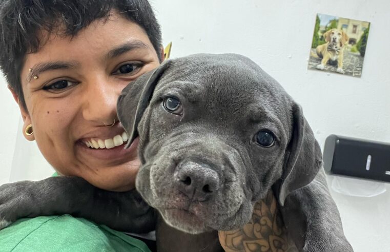 CRIA DA VILA SÃO PEDRO, MÉDICA VETERINÁRIA PROMOVE CONSULTAS GRATUITAS PARA CÃES E GATOS DO BAIRRO NO DIA 30