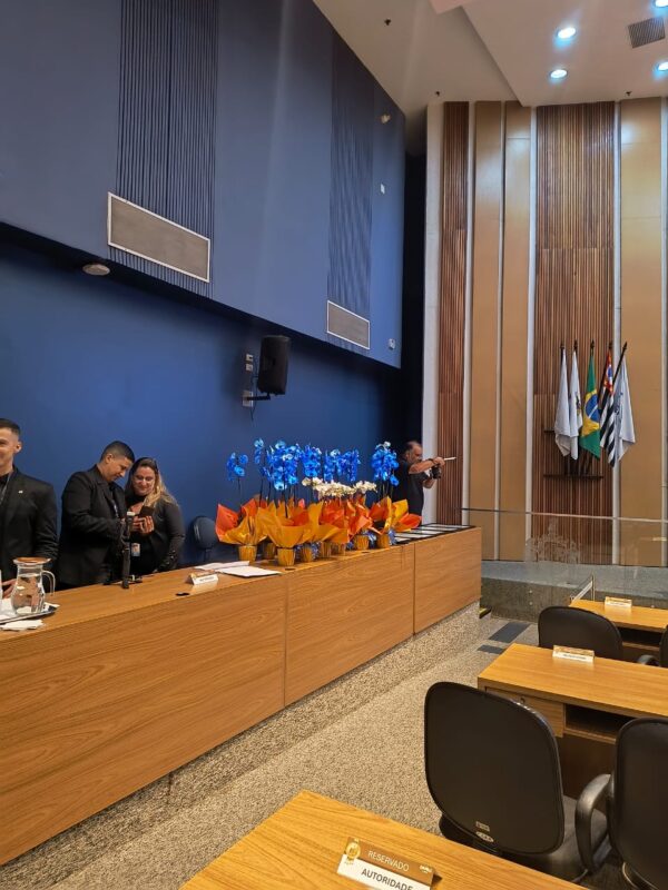 BERTANHA TOMA POSSE PARA SEGUNDO MANDATO CONSECUTIVO NA OAB-SBC