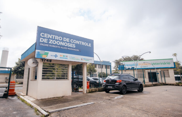 FEIRA DE ADOÇÃO DE PETS ESTIMULA ACOLHIMENTO EM SÃO BERNARDO NESTE SÁBADO