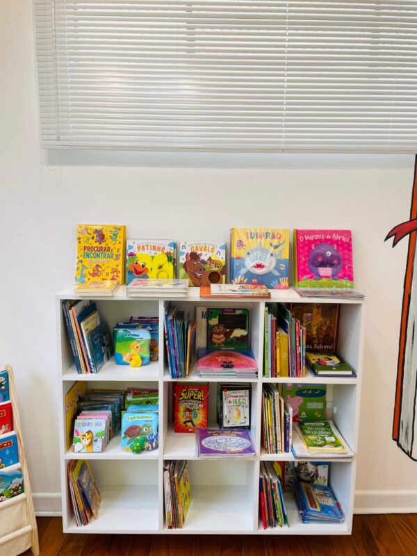 CORUJINHA DO SABER – LIVRARIA E SEBO PROMOVE CULTURA, APRENDIZADO E CONEXÃO EM SÃO BERNARDO