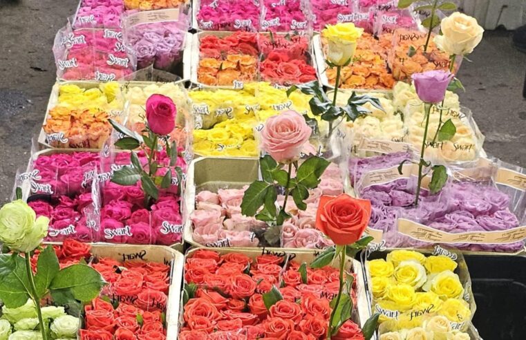 MERCADO DE FLORES DA CRAISA É OPÇÃO PARA COMPRA DO DIA DAS MÃES