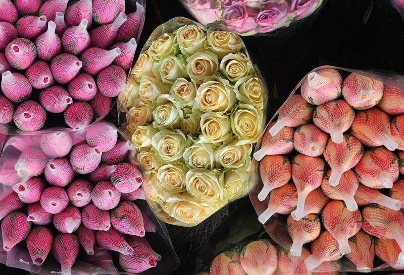 MERCADO DE FLORES DA CRAISA É OPÇÃO PARA COMPRA DO DIA DAS MÃES