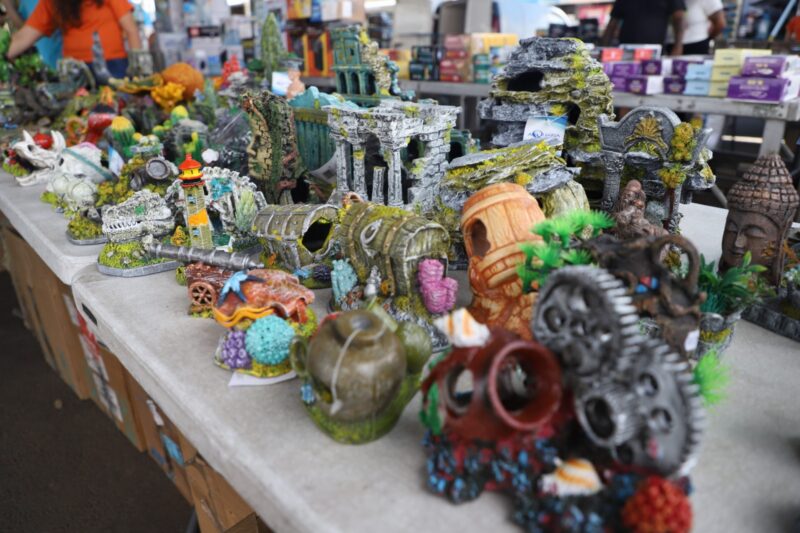 EM SANTO ANDRÉ, MERCADO DE PEIXES ORNAMENTAIS DA CRAISA ATRAI LOJISTAS E CRIADORES TODA QUARTA-FEIRA