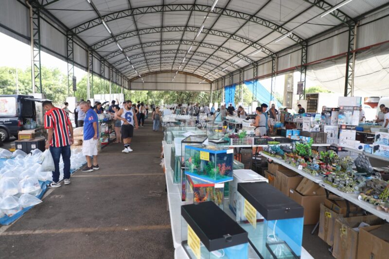 EM SANTO ANDRÉ, MERCADO DE PEIXES ORNAMENTAIS DA CRAISA ATRAI LOJISTAS E CRIADORES TODA QUARTA-FEIRA