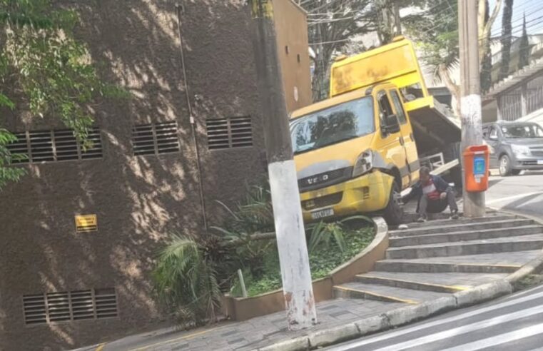 GUINCHO INVADE CALÇADA E DERRUBA COQUEIRO NA BELA VISTA