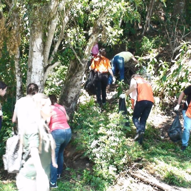 REPRESA BILLINGS RECEBE MUTIRÃO DE LIMPEZA NO DIA 7 DE JUNHO