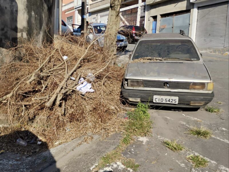 SEMASA AUTUA INFRATOR POR DESCARTE IRREGULAR DE RESÍDUOS EM FRENTE À ESTAÇÃO DE COLETA SANTO ALBERTO