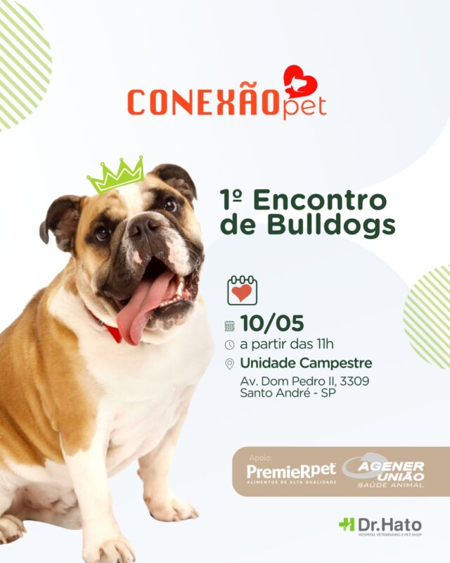 BULLDOGS TOMAM CONTA DO DR. HATO EM EVENTO ESPECIAL PARA APAIXONADOS PELA RAÇA