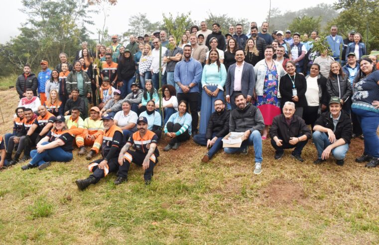 NO DIA DO MEIO AMBIENTE, SANTO ANDRÉ PLANTA MAIS DE 100 MUDAS DE ÁRVORES