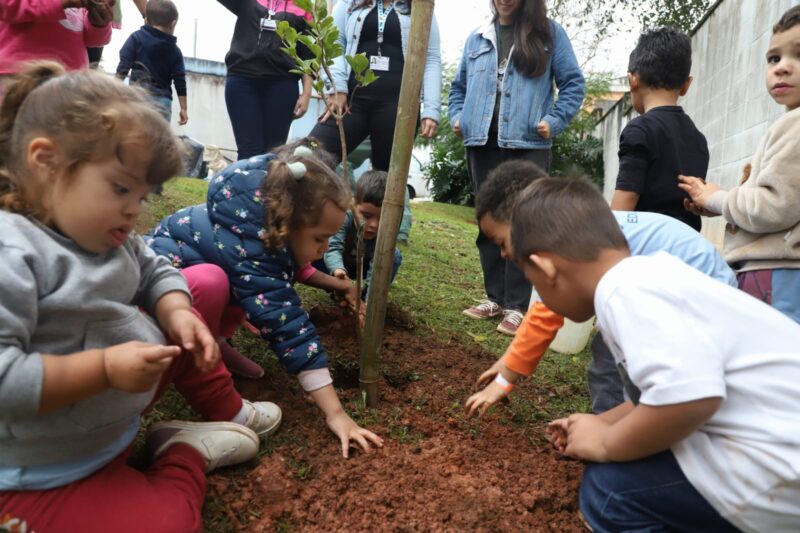 ALUNOS DE SANTO ANDRÉ PROMOVEM PLANTIO DE MUDAS DE ESPÉCIES NATIVAS DA MATA ATLÂNTICA